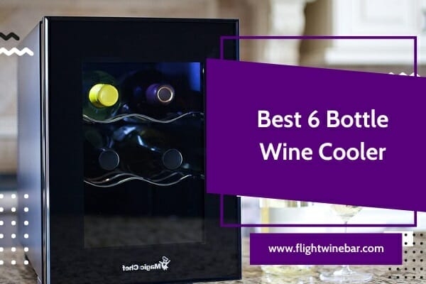 Top 6 Best 6 Bottle Wine Cooler Reviews And Comparison 2023 1443