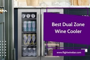 Best Dual Zone Wine Cooler