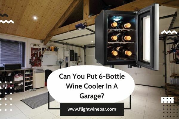 Top 6 Best 6 Bottle Wine Cooler Reviews And Comparison 2023 8610