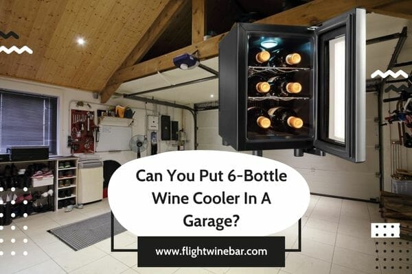 Can You Put 6-Bottle Wine Cooler In A Garage