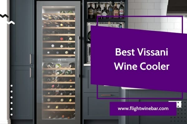 Vissani Wine Cooler