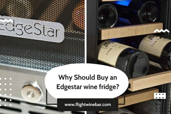 Why Should Buy an Edgestar wine fridge