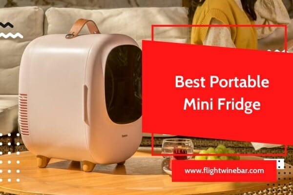 Best Portable Mini Fridge