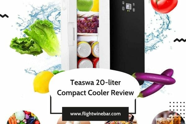 Teaswa 20-liter Compact Cooler