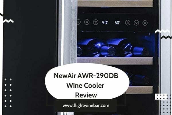 NewAir AWR-290DB