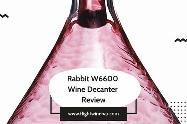Rabbit W6600 Wine Decanter Review