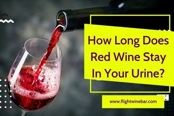 how-long-does-red-wine-stay-in-your-urine