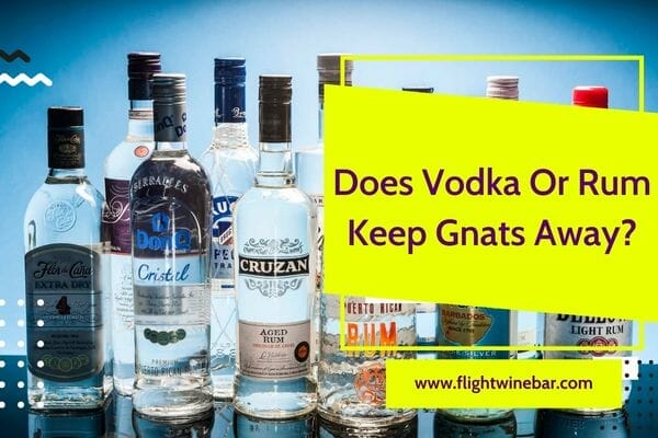 Does Vodka Or Rum Keep Gnats Away