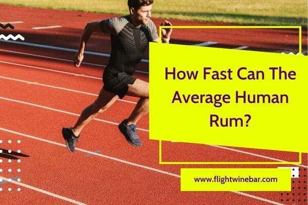 How Fast Can The Average Human Rum how-fast-can-the-average-human-rum