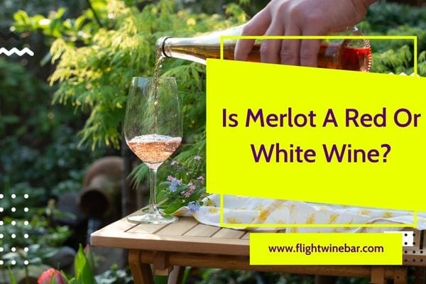Is Merlot A Red Or White Wine
