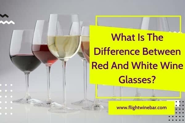 What Is The Difference Between Red And White Wine Glasses