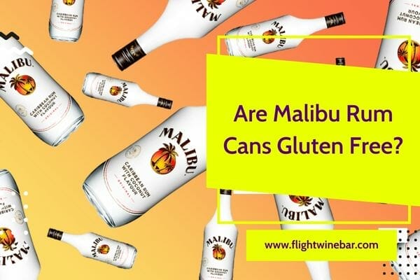 Are Malibu Rum Cans Gluten Free