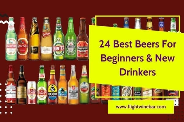 Best Beers For Beginners