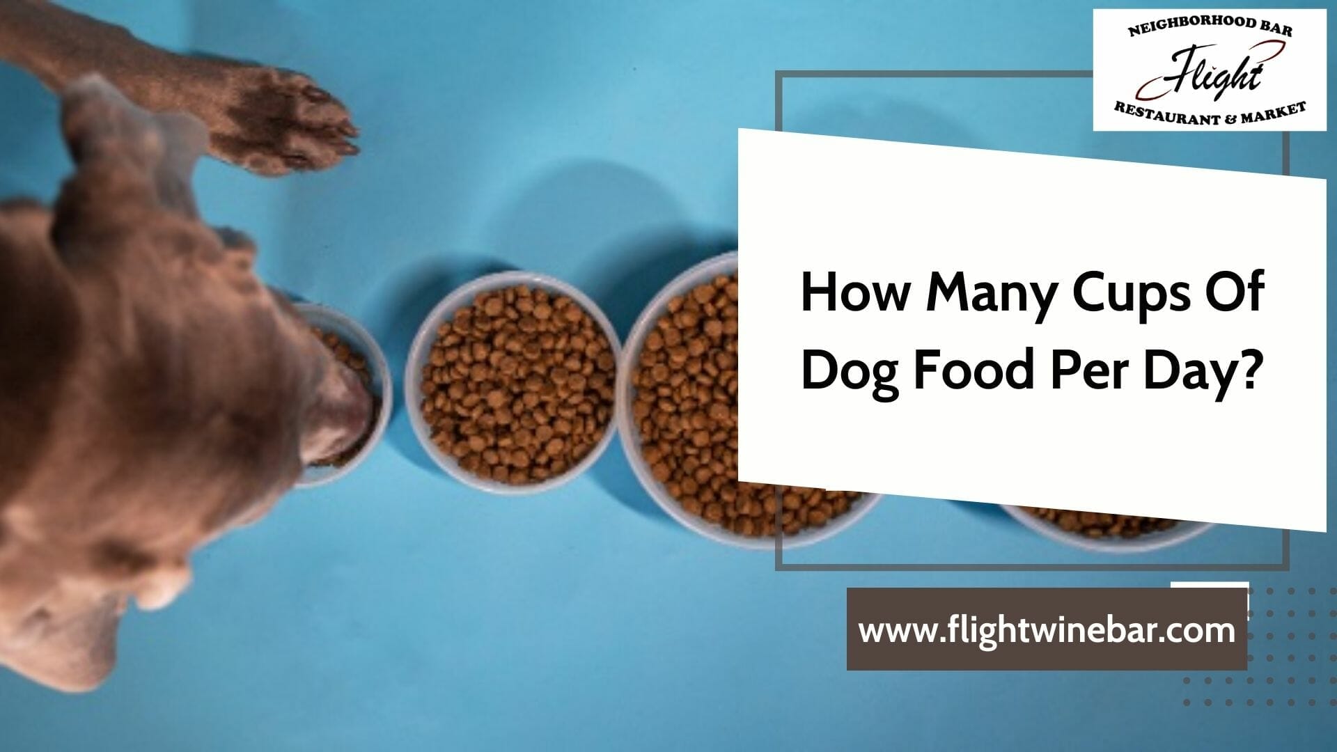 How Many Cups Of Dog Food Per Day