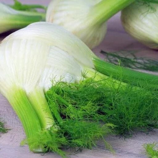 Culinary Uses for Fennel