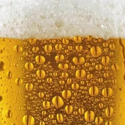 Health Benefits and Risks of Drinking Carbonated Beer