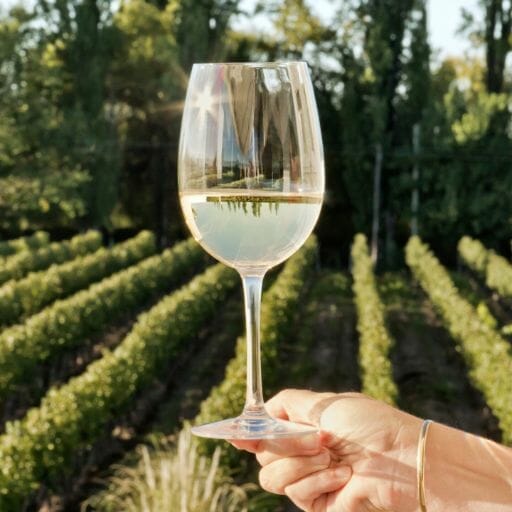 How to Choose a Low-Calorie Pinot Grigio