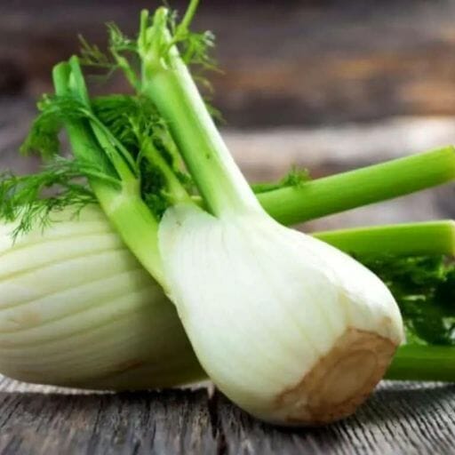 How to Choose and Store Fennel