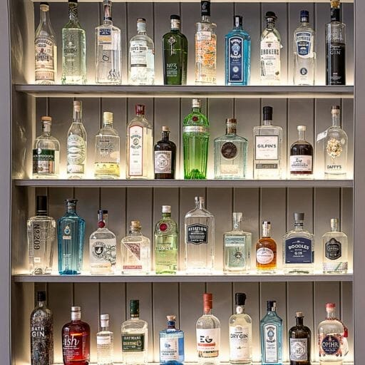 Popular Brands of Gin for Gin and Tonics