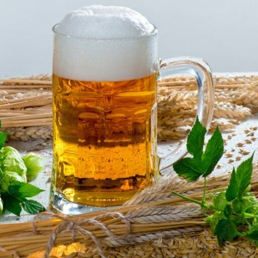 What Is the Beer Brewing Process